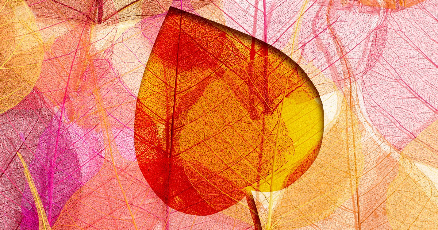 Wonderful Autumn Artworks 1